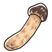 006