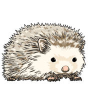 010