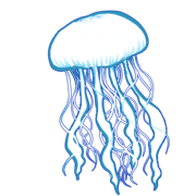 029
