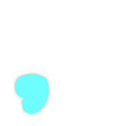 245