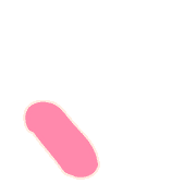 256