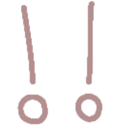 009