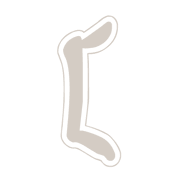 031