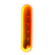 038