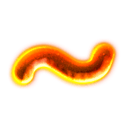 063