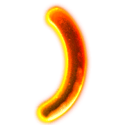 074