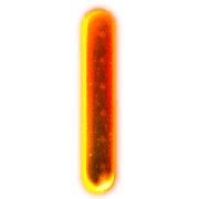 081