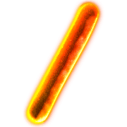 086