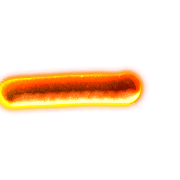 090