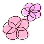 005