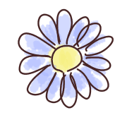 019