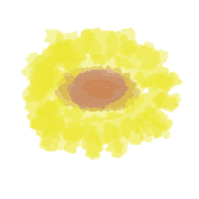 003