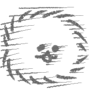 029