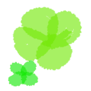 021