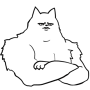 003