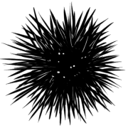 024