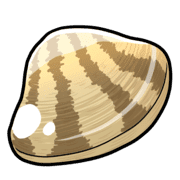 029