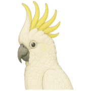 014
