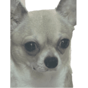 015