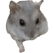 038