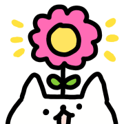 005