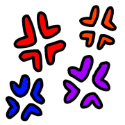 028