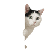 016