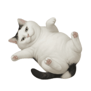 032