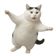 033