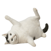 038