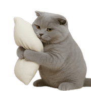 007
