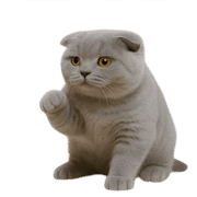 025