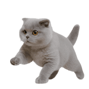 030
