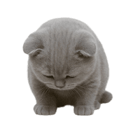 031