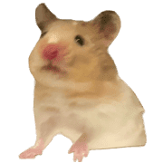 005