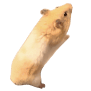 006