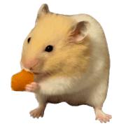 013