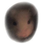 014