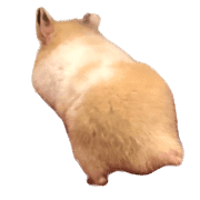 016