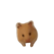 017