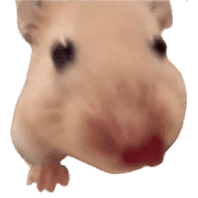 018