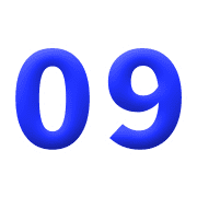 009