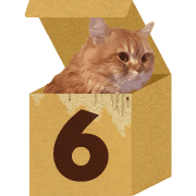 036