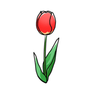005