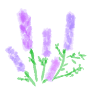 029