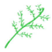 030