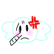 005