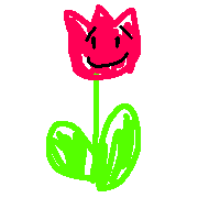 029