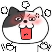 016