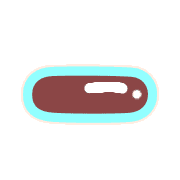 161